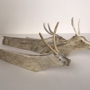 Cover image of Three Caribou Swimming